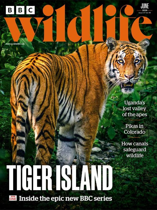 Cover image for BBC Wildlife Magazine